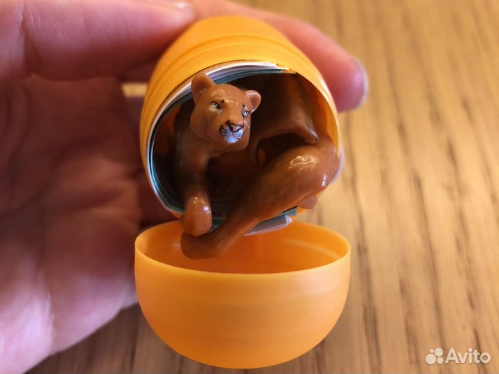 Игрушки kinder natoons