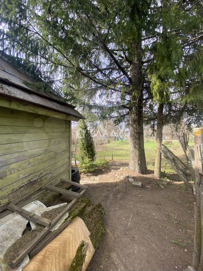 Участок 5,5 сот. (СНТ, ДНП)