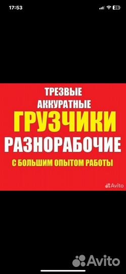 Разнорабочие