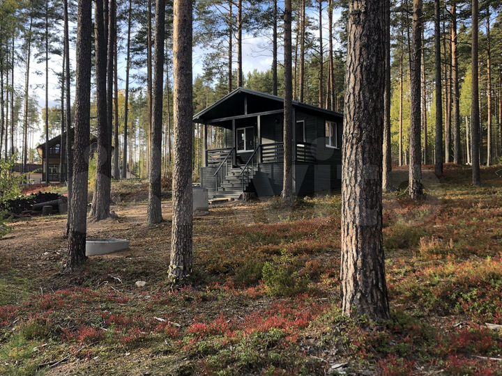 Дом 48 м² на участке 6 сот.