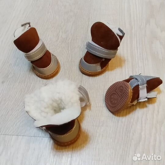 Новая одежда и обувь для собак и кошек