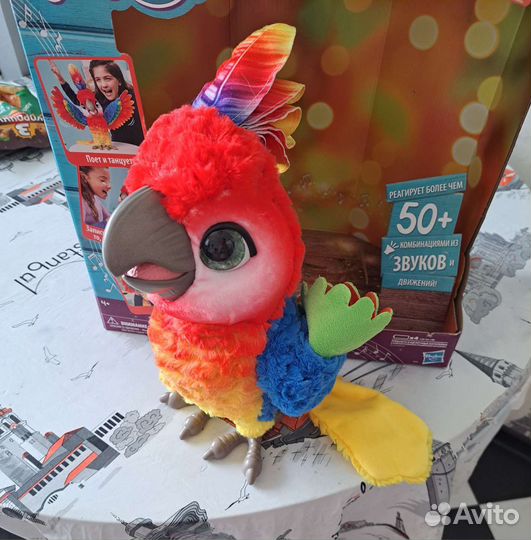 Говорящий попугай