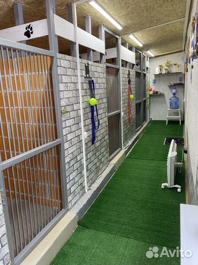 Отель для собак