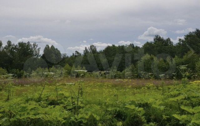 Дмитров ул гравийная