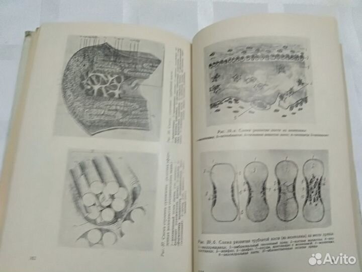 Руководство к практическим занятиям по гистологии