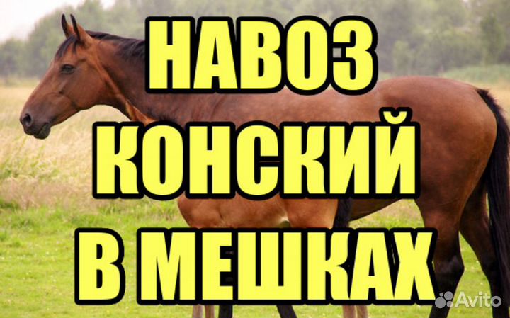 Навоз в Мешках