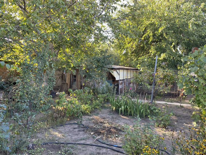 Дом 25,3 м² на участке 7,4 сот.