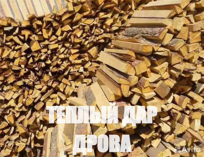Дрова береза