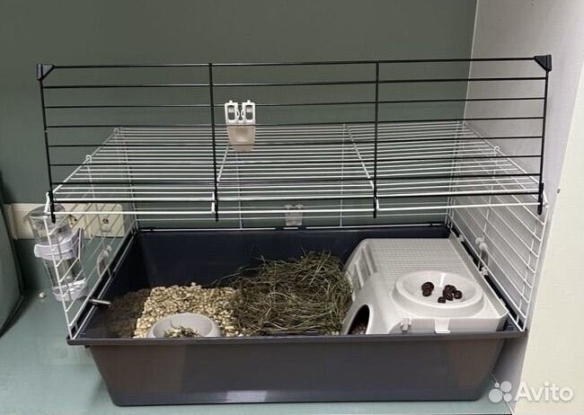 Клетка для морской свинки/кролика