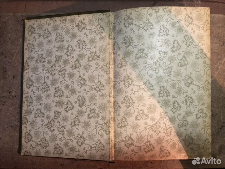 М. Ределин Дом и хозяйство 1900 год