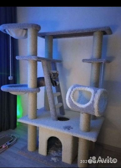 Комплекс для кошек/домик с когтеточкой