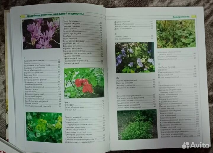 Книги нон фикшн