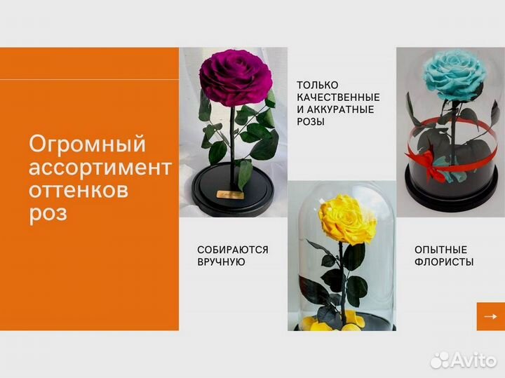 Роза в колбе