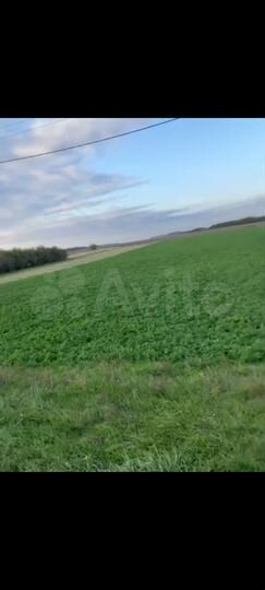 Участок 25 сот. (ИЖС)