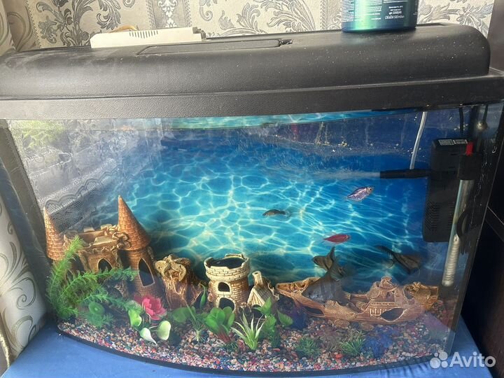 Аквариум
