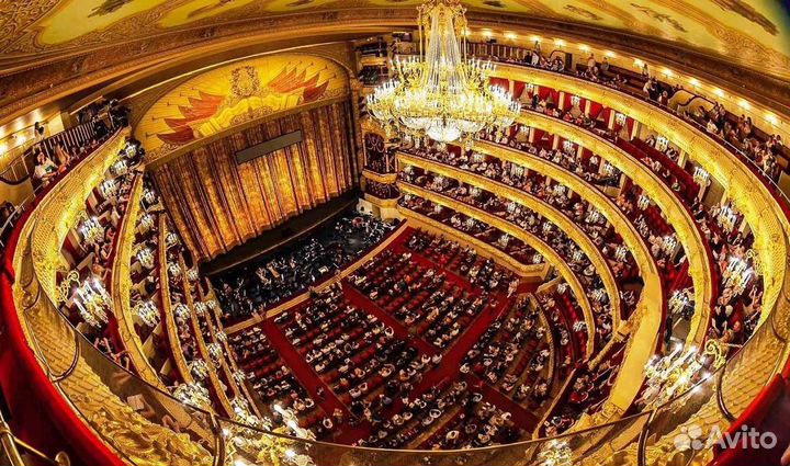 Билеты в театр,кино,музей 1/2Москва