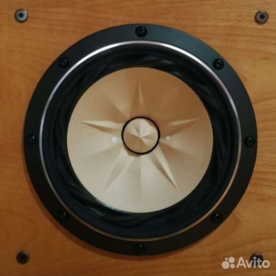 Акустика динамиками Fostex 208