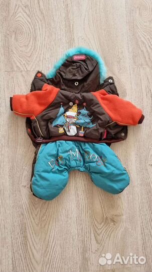 Костюм для собаки