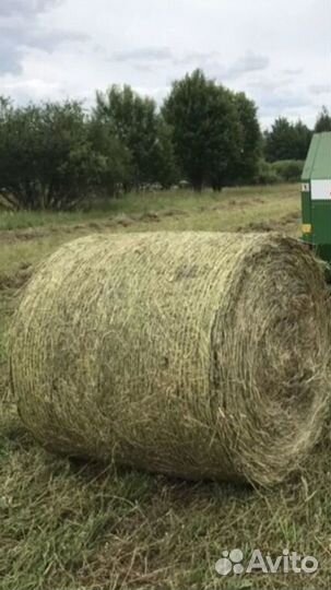 Продам сено в тюках