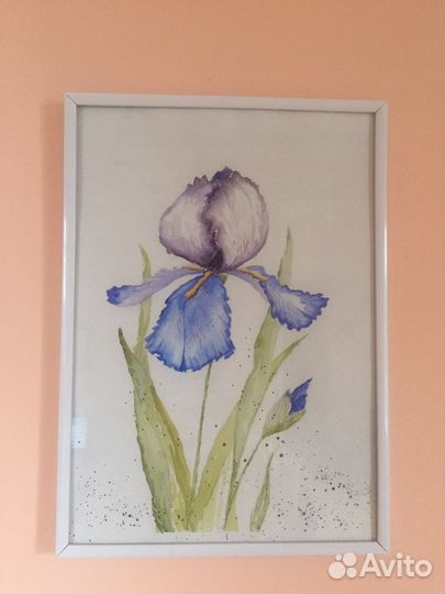Акварельные картины Ирисы