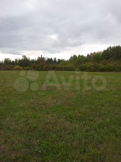 Участок 1,5 га (СНТ, ДНП)