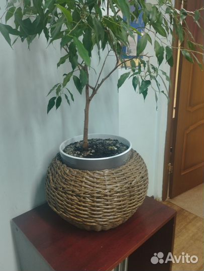 Кашпо из ротанга 12 литров