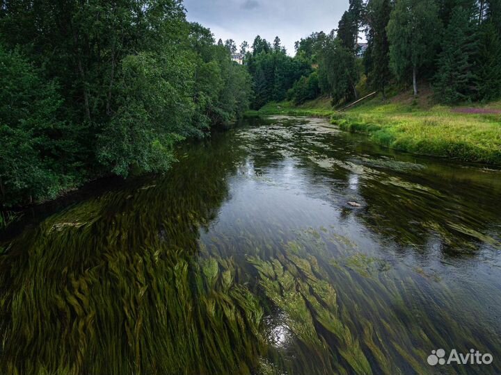 Прогулка/сплав по реке Оредеж на Sup досках