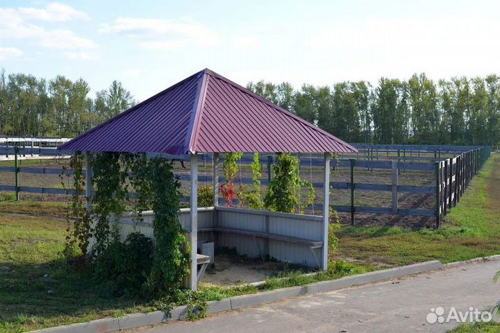 Конно-спортивный комплекс