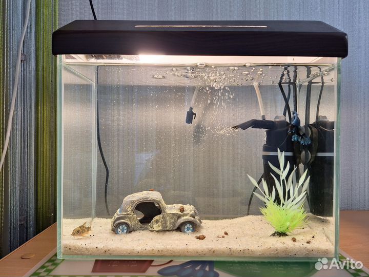 Аквариум 15л с рыбками