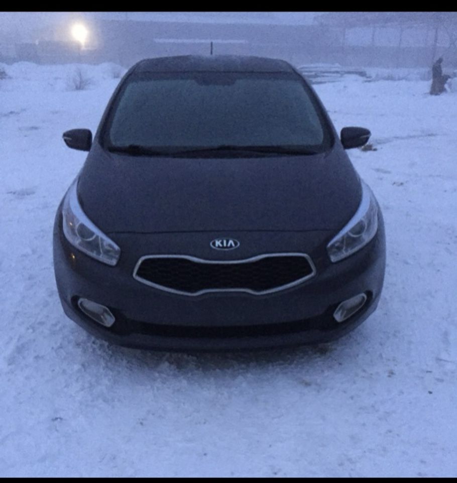 Kia Ceed: фото владельца