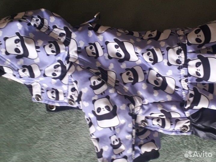 Одежда для собак