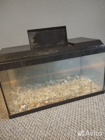 Аквариум