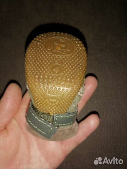 Сапожки прогулочные для маленькой собачки