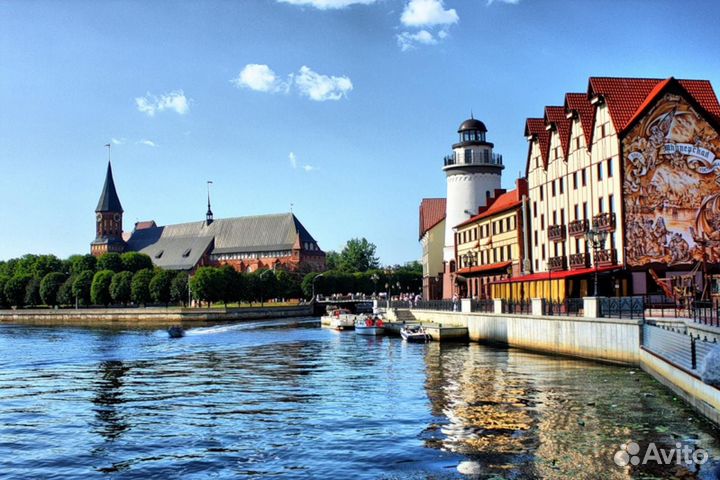 24-30.08 Калининград