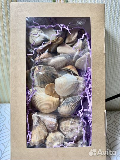Подарочный набор морской дары моря ракушки