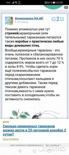 Мраморный таракан приманка корм для птиц насекомые