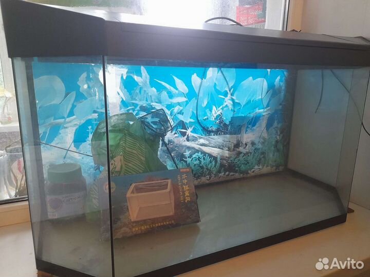 Аквариум