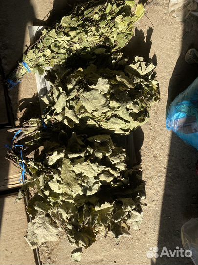 Веники для бани