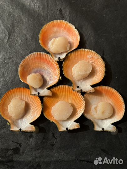 Гребешок на одной створке )