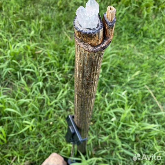 Посох дождя