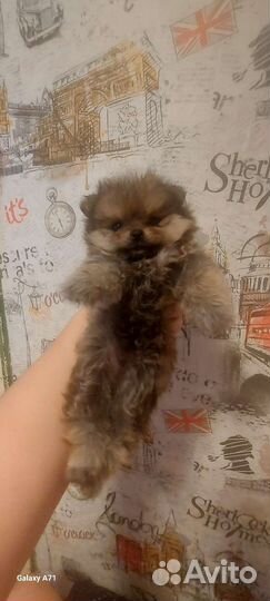 Супер миник