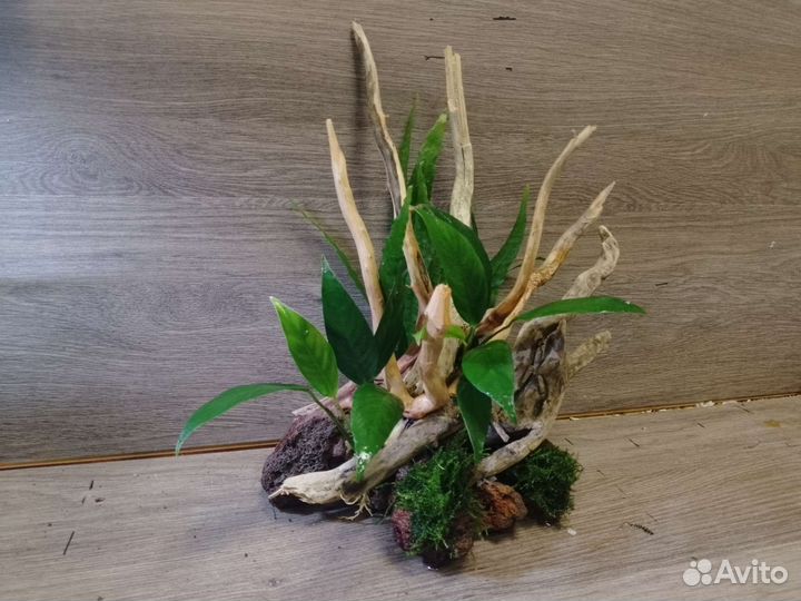 Декор для аквариума