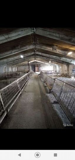 Свободного назначения, 390 м²