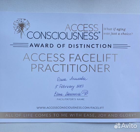 Энергетические сеансы Access Bars, Access Faceljft