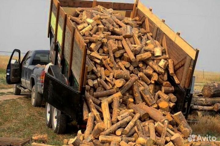 Дрова в область
