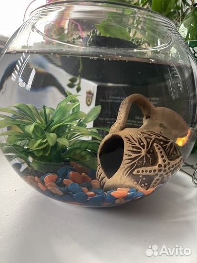 Аквариум круглый