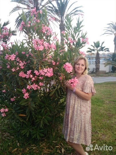 Репетитор по английскому и немецкому языкам