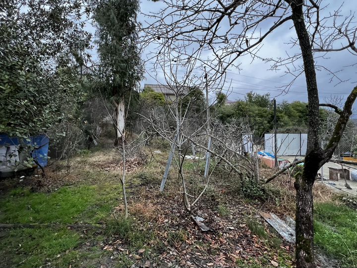 Участок 4,2 сот. (ИЖС)