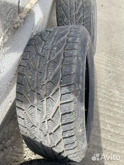 Tigar Winter 245/45 R18 100V