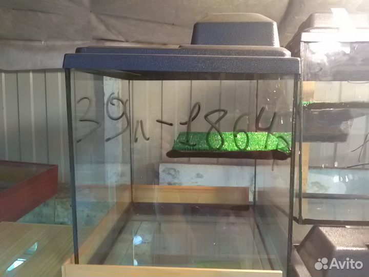 Островочек для черепах